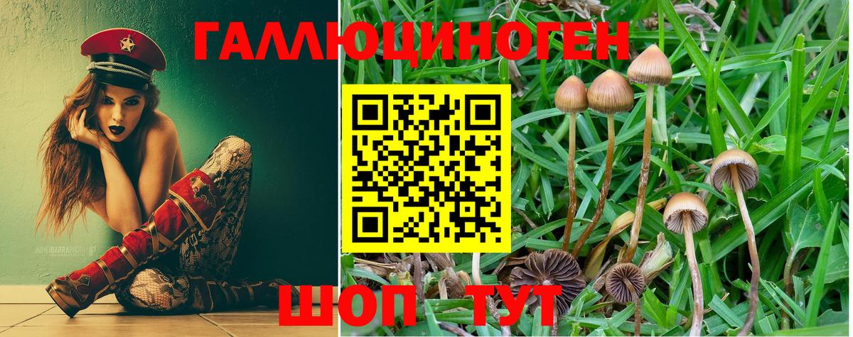 МАРИХУАНА  Вход с VPN  Изобильный  Альфа ПВП СК кристаллы  ГЕРОИН  Кокаин  Метамфетамин  Гашиш  Меф МЯУ МЯУ кристаллы 